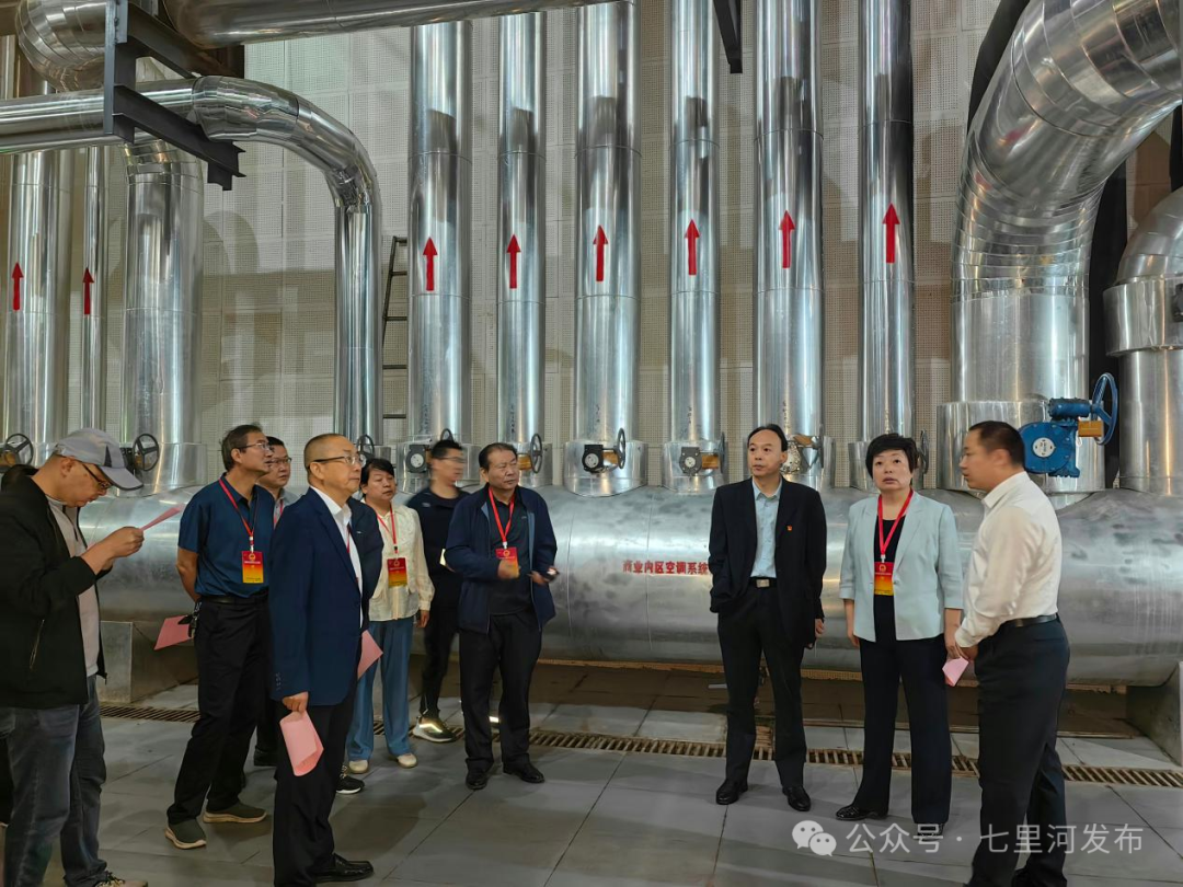 七里河区人大常委会视察全区大气污染防...